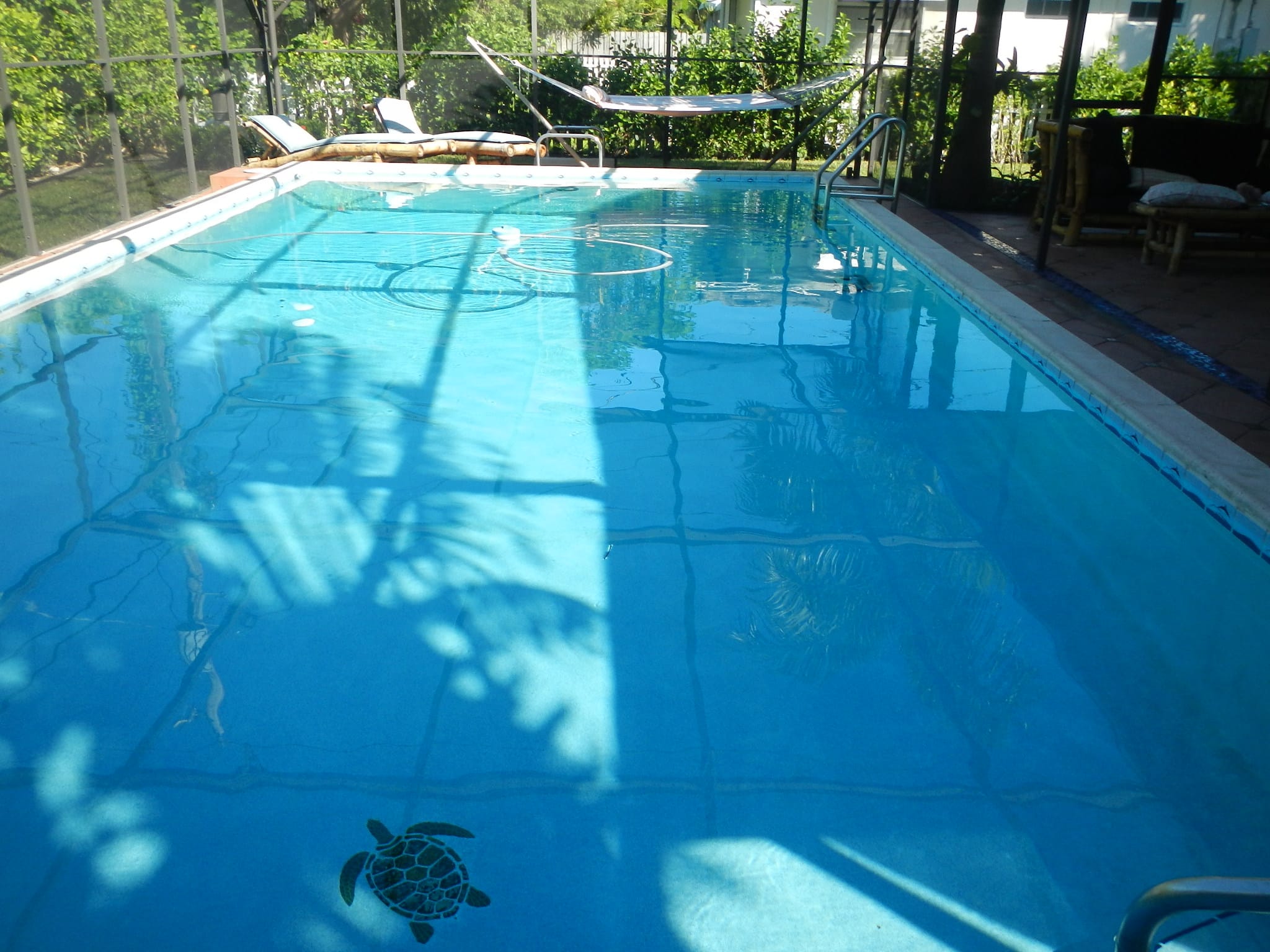 Pool and Spa Inspection in Miami, FL